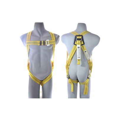 ARNES LIVIANO AMORTIG. DORSAL