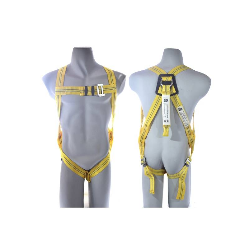 ARNES LIVIANO AMORTIG. DORSAL